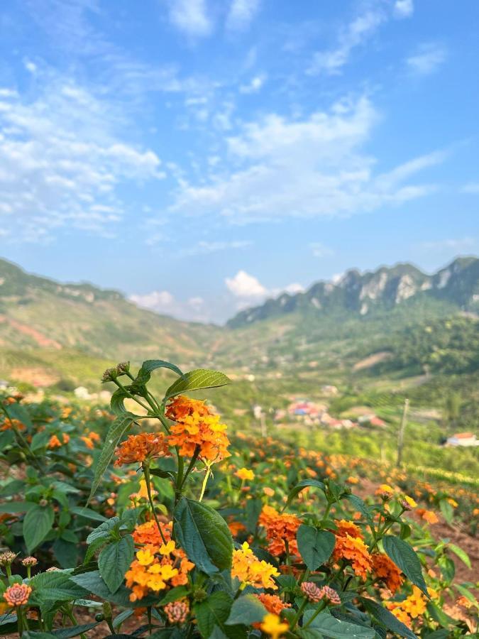Muong Sang Farmstay Moc Chau Dış mekan fotoğraf